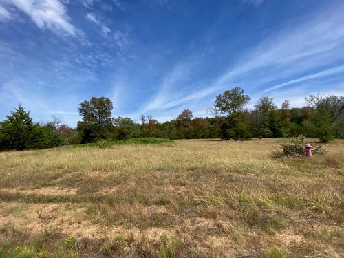 Lot 14 Castlepines Ln, Greenbrier, AR, 72058-8509 | Card Image