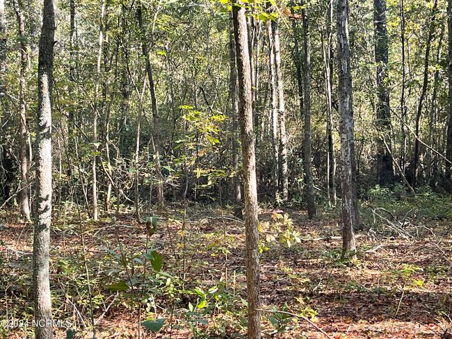 6879 Haynes Lennon Hwy, Home with 0 bedrooms, 0 bathrooms and null parking in Evergreen NC | Image 9