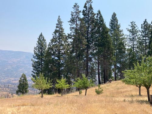 43006 Cedar Springs Rd, Auberry, CA, 93602-9748 | Card Image