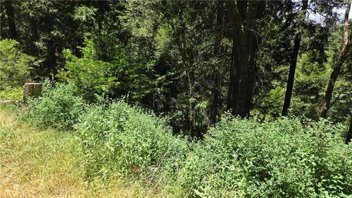 0 Cedarpines Dr, Cedarpines Park, CA, 92322-0109 | Card Image
