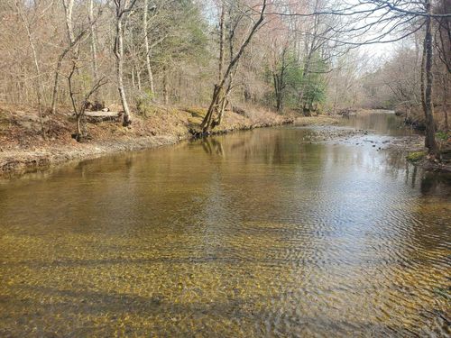 TBD Kates Creek Rd, Oden, AR, 71961 | Card Image