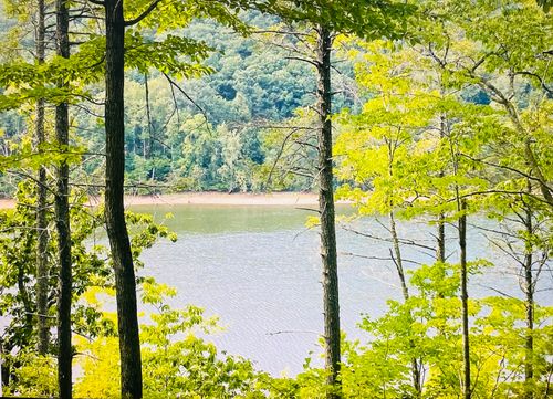 Lot 119 Greenberry Dr, Pittsville, VA, 24139 | Card Image