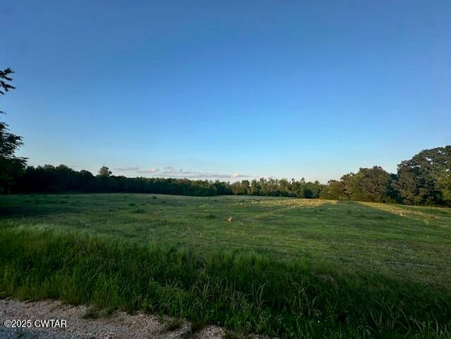 0 Old Trezevant Rd, Home with 0 bedrooms, 0 bathrooms and null parking in Trezevant TN | Image 11