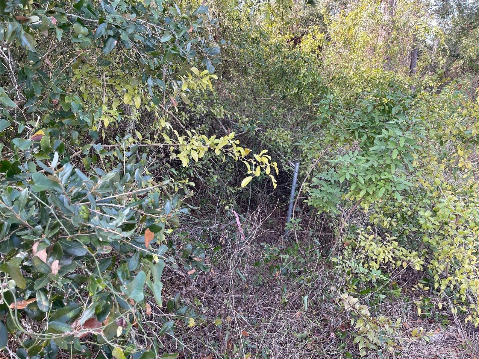 Land in NORTH PORT 4