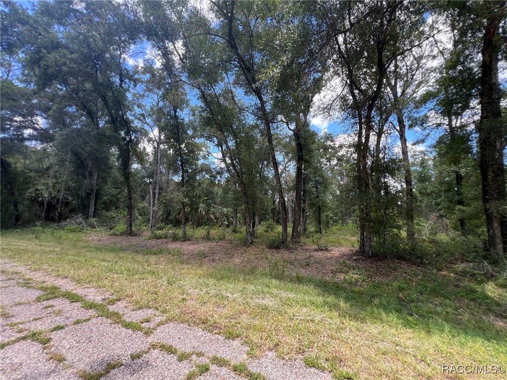 Land in Dunnellon 3