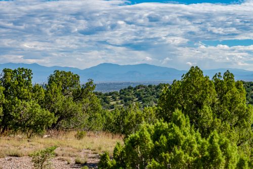 95 Grenfell Ranch & 30 Blue Agave, Cerrillos, NM, 87010 | Card Image