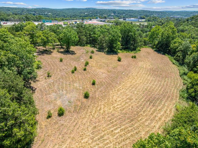 Cleared Area | Image 14