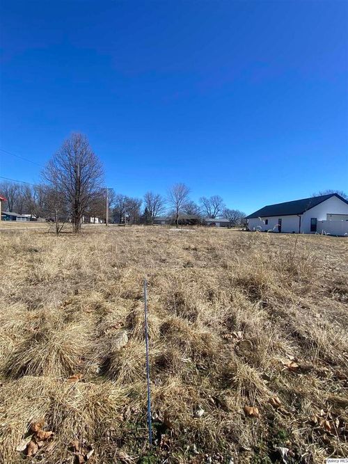 lot-4-1711 E 1324th St, Fowler, IL, 62338-1027 | Card Image