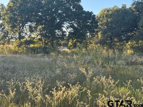 767 Welch Ln, Gun Barrel City, TX, 75156-5217 | Card Image