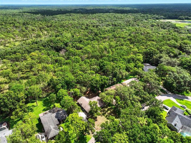 1053 Cavern Dr, House other with 4 bedrooms, 2 bathrooms and null parking in APOPKA FL | Image 41