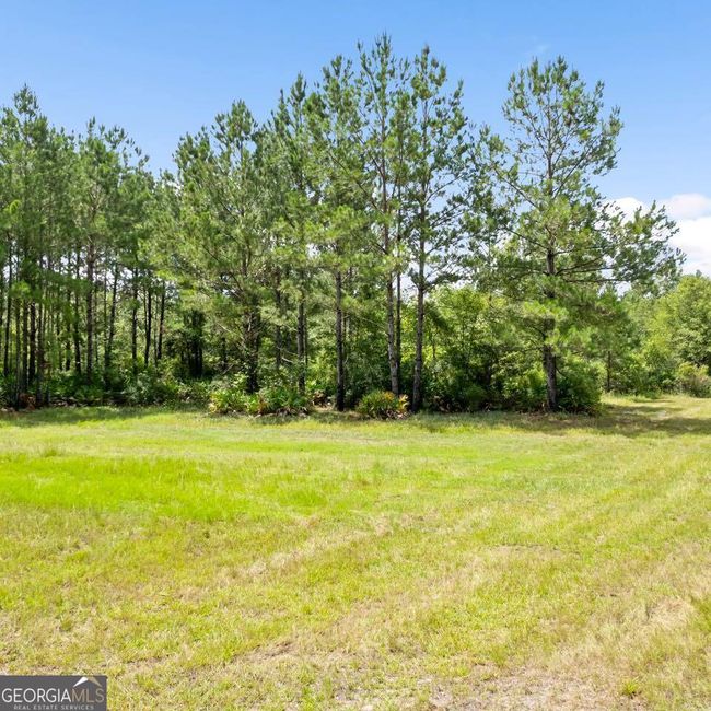 0 Roberson Rd, Home with 0 bedrooms, 0 bathrooms and null parking in Hortense GA | Image 4