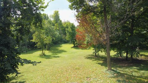 XXX 365th St, Ottertail, MN, 56571 | Card Image