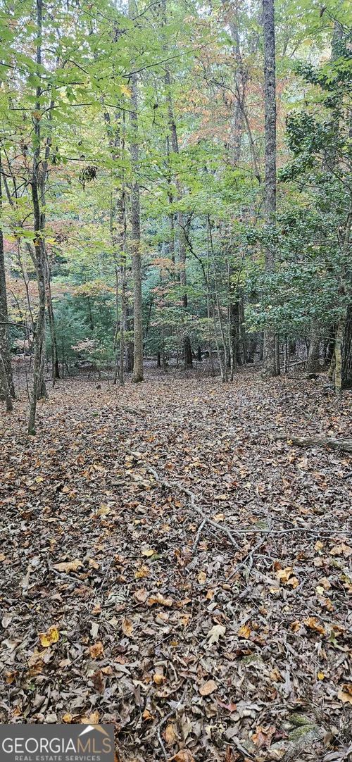 lot-5-5 Goldmine Rd, Morganton, GA, 30560 | Card Image