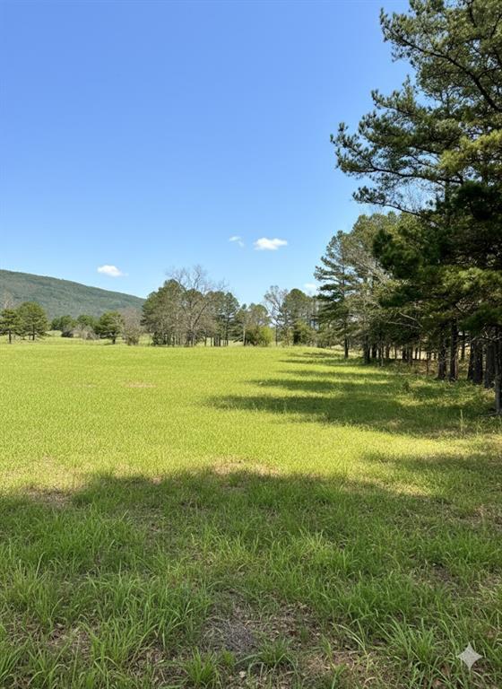 Land in Talihina 3