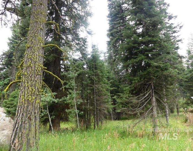 1 Clements Rd, Home with 0 bedrooms, 0 bathrooms and null parking in McCall ID | Image 4
