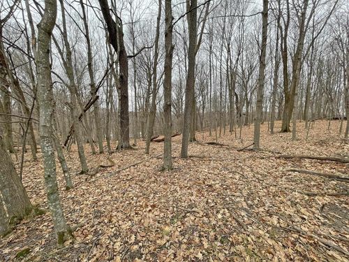 L150 Black Forest Pine Cone Lane, Woodland, WI, 53941 | Card Image