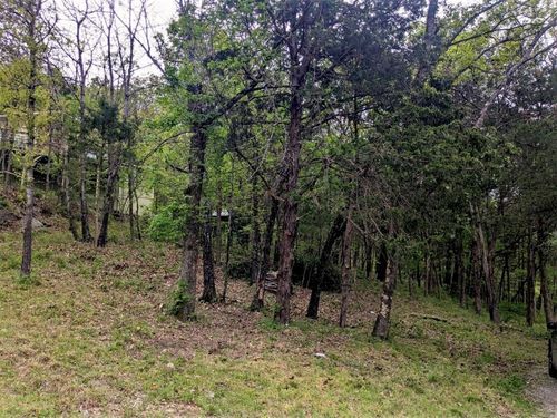 TBD Leatherwood Dr, Eureka Springs, AR, 72631 | Card Image