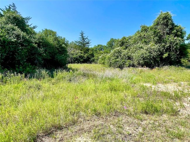 9211 Stetson Drive, Home with 0 bedrooms, 0 bathrooms and null parking in Hilltop Lakes TX | Image 9