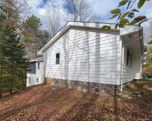 21 Browns Rd, Livingston Manor, NY, 12758-5900 | Card Image