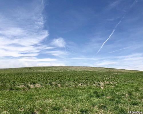 41382 Bijou St, Agate, CO, 80101 | Card Image