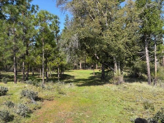19292 Shawnee Trl, Home with 0 bedrooms, 0 bathrooms and null parking in Mokelumne Hill CA | Image 62