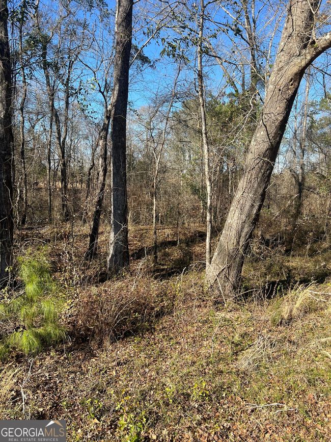 2734 Empire Chester Hwy, Home with 0 bedrooms, 0 bathrooms and null parking in cochran GA | Image 15