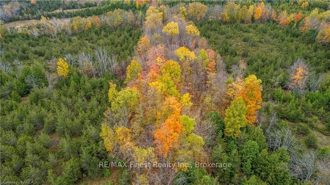 766 Westplain Rd, Home with 0 bedrooms, 0 bathrooms and null parking in Greater Napanee ON | Image 8