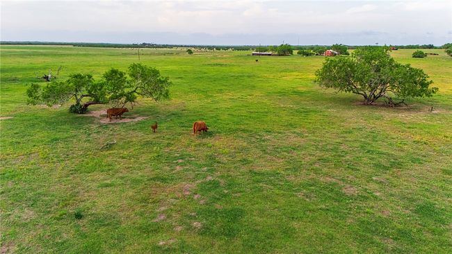 00 Fm 534 & Fm 3162, Home with 0 bedrooms, 0 bathrooms and null parking in Sandia TX | Image 30