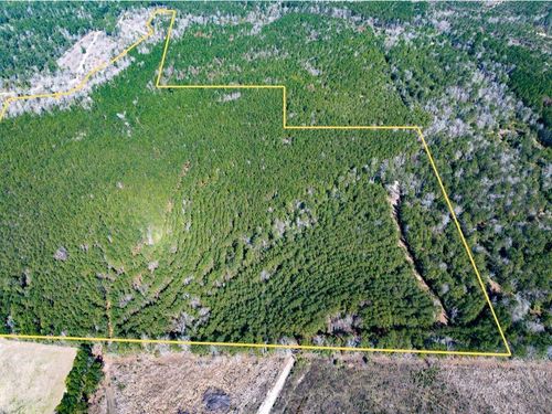 1 Lyons Cemetery Rd, Moscow, TX, 75960 | Card Image