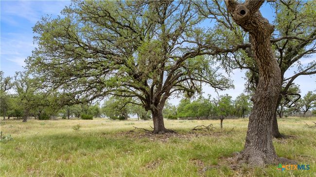 3049 Reservation Rd, Home with 0 bedrooms, 0 bathrooms and null parking in Harper TX | Image 19