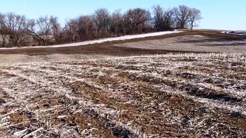 XXXX Nw County Road 8, Silver Creek Twp, MN, 55358 | Card Image