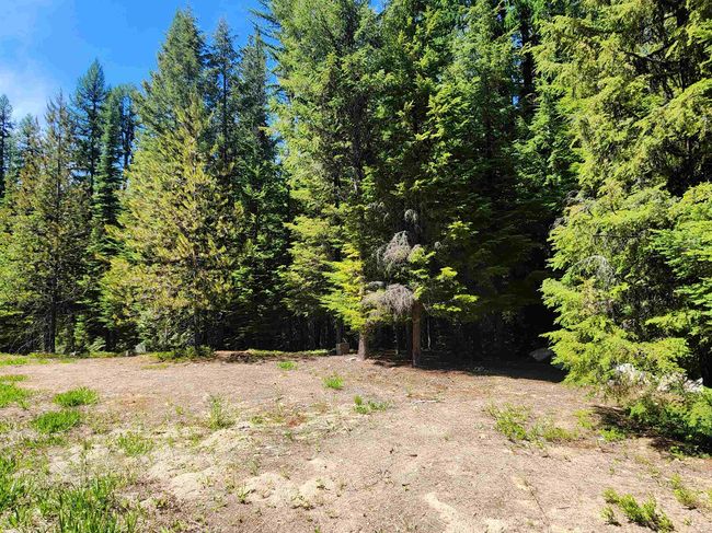 7450 Ruby Creek Rd, Home with 0 bedrooms, 0 bathrooms and null parking in Cusick WA | Image 6