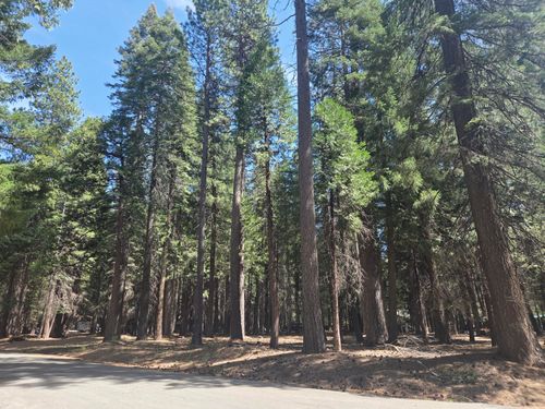 Lot # 6 Colossians Way, Shingletown, CA, 96088 | Card Image