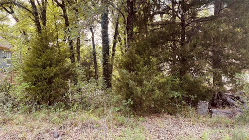 141 Elk Cove Drive, Mabank, TX, 75156 | Card Image