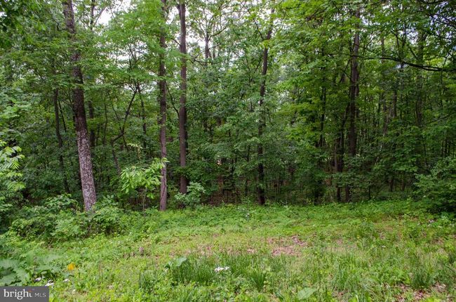 0 Park View Dr, Home with 0 bedrooms, 0 bathrooms and null parking in Felton PA | Image 7