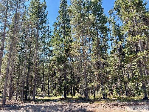4389 Sasquatch Ave, Island Park, ID, 83429 | Card Image