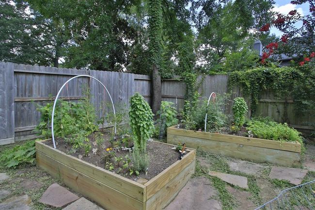 Herb garden is ready for you! | Image 44