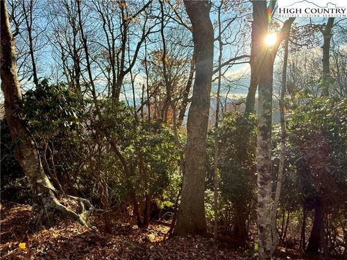 TBD Pheasant Walk Way, Vilas, NC, 28692 | Card Image