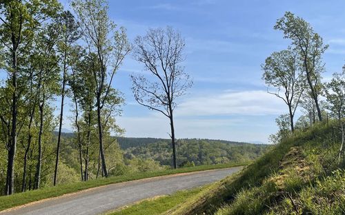 LT118 Jakes Landing Way S, Ellijay, GA, 30540 | Card Image