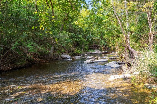 Water view with a heavily wooded area | Image 35