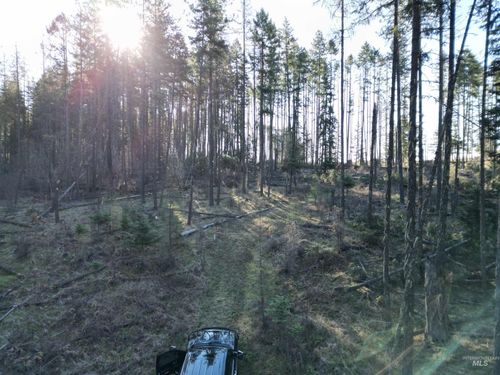 TBD Dent Bridge Road, Orofino, ID, 83544 | Card Image