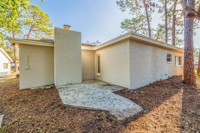 backyard | Image 36