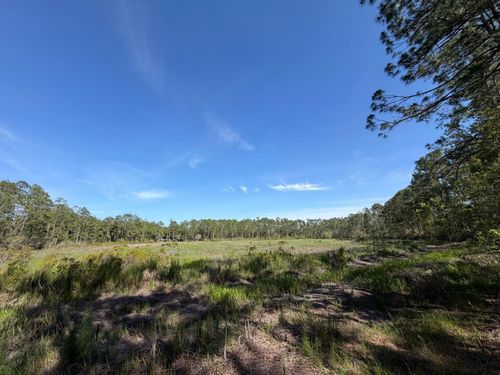 TBD Ne 114th Avenue Rd, Fort Mc Coy, FL, 32134 | Card Image