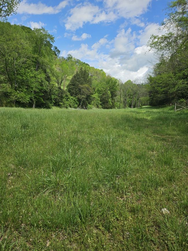 263 Club Springs Rd, House other with 3 bedrooms, 4 bathrooms and 8 parking in Elmwood TN | Image 59
