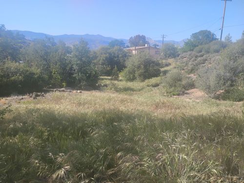 10809 Spring Ct, Bodfish, CA, 93205 | Card Image