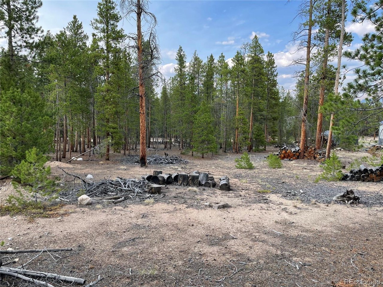 Land in Leadville 5