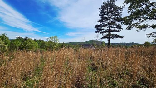 Lot 48 Water Oak Ln, Blairsville, GA, 30512-1803 | Card Image