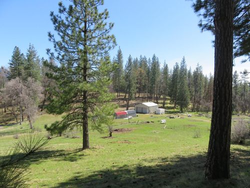 4196 Bald Mountain Rd, West Point, CA, 95255-7098 | Card Image