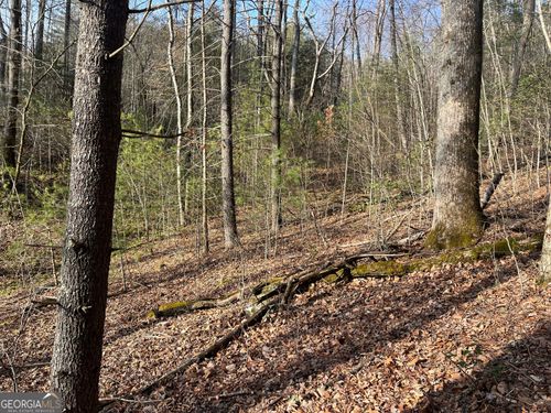 0 Winter, Rabun Gap, GA, 30568 | Card Image