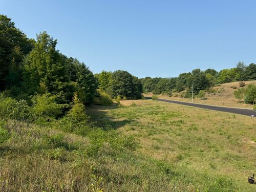 9011 Walling Rd, Alden, MI, 49612 | Card Image